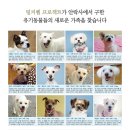 야미광고기획 - 제주시 남성로 127 | 야미광고기획