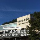 인삼랜드(하)주유소 | 충북 가볼만한곳 금산인삼랜드 휴게소 먹거리 교통사고체험관