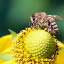 장형석한의원 이미지