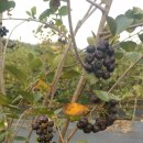 현재농장 이미지