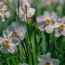 새벽 행정사 사무소 이미지