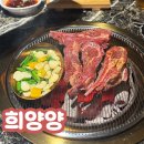 희양양노형직영점 | 제주 양고기 맛집 희양양 노형 재방문 제주갈비 꿀맛