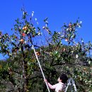 계곡의아침 이미지