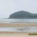 천리포 은하수펜션 | 태안 천리포 은하수 펜션 후기