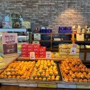 NR-5[제원로]-상-633 | 가을여행지 담양, 가볼만한 곳 당일코스 추천 (담양 전주 2박 3일 Part.1)