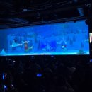 인어 | 서울 씨라이프 코엑스 아쿠아리움 인어 수중공연 후기