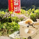 황후수제갈비 이미지