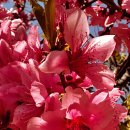 제주향교 | [제주] 도보여행 제주향교 / 제주목 관아 / 향사당 / 오현단 / 삼성혈