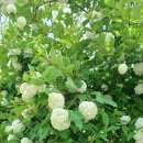 도전3리 마을회관 이미지