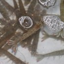 그린수산 이미지