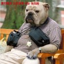 앗싸 Daum카페