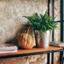 까마로사커피 이미지