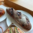외도339 제주 애견동반 카페 <b>외도</b><b>339</b> 후기