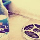 고성방가 게스트하우스 이미지