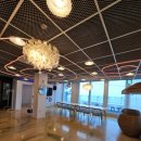 자니노니 마시안점 이미지