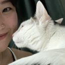 금성태권도장 | 꿈 속의 사랑으로 꿈 바깥의 사랑이 망가지는 꿈