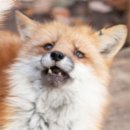 더 플레이 | 샤롯데 더 플레이 서바이벌 내돈내산 솔직후기, 롯데시네마에서 즐기는 관객 참여형 이머시브 공연