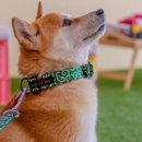 하하호호프렌드 이미지