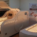 썬바이오 - 양양군 | 썬바이오