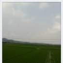 평화3길 이미지