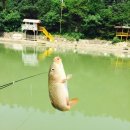 가평낚시터 이미지