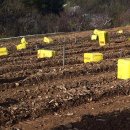 (주)솔담바이오 이미지