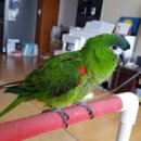 유성오토바이 이미지