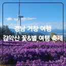 저단57 | [거창 감악산 꽃&amp;별 여행 아스타국화축제 ]여행경비 지원금, 도로상태 및 아이와방문팁