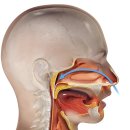 백제의원 이미지