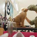 해빛5로 이미지