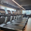 알피짐