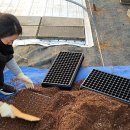 창수농장 이미지