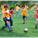 송탄 경희대 태권도 이미지