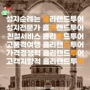 홀리랜드투어 이미지