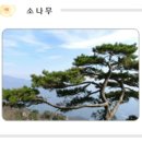 운호고등학교 | 운호고등학교 2027 신입생 입학안내, 2027 학교안내 (일반고)