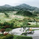 락스크린골프장 이미지