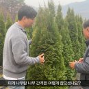 수형농장 이미지