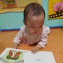 멍멍아 까꿍 이미지