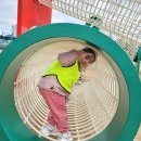 궁전유치원 이미지