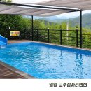 고추잠자리 | 밀양 단장면 수영장 펜션 고추잠자리펜션 내돈내산 솔직후기
