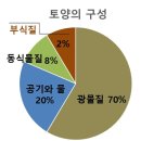 자연에서 식물은 어떻게 자랄까? 흙(광물질=식물의 주식)이 수용성화되어 식물 흡수 과정은? 이미지