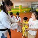 경희대 백호 태권도장 이미지