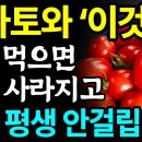 토마토와 함께 먹으면 보약이 되는 음식 이미지