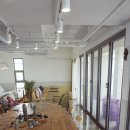 선인장을 부탁해 이미지