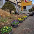 곡란초등학교 이미지