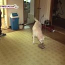 호야농장 이미지