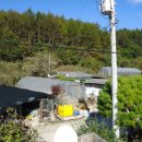 강골농장 이미지