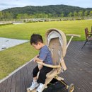 플러스원카크리닉 | 휴대용유모차 트라이크 에이블유모카플러스 기내반입 가능? 내돈내산 솔직후기