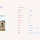 팜독 네이버블로그