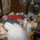 이화노인회 | 孝 실종, 인면수심, 패륜에 운다